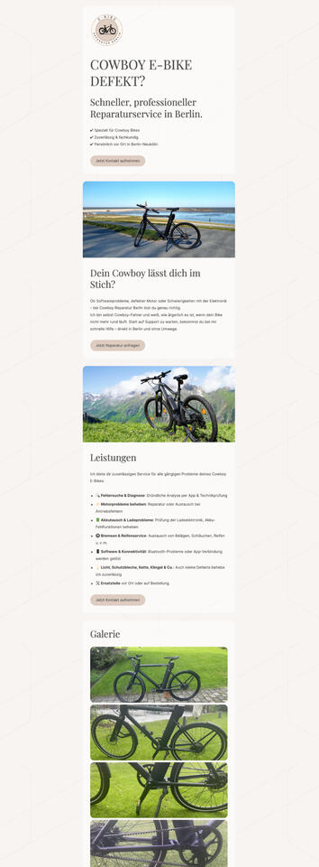 E-Bike Reparatur